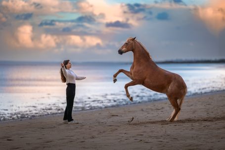 Eine Frau steht am Strand und interagiert mit einem auf den Hinterbeinen stehenden Pferd.