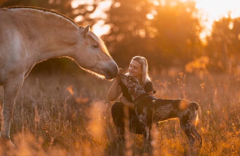 Ein Mädchen kniet im Gras und streichelt einen Hund, während ein Pferd in die Nähe kommt.