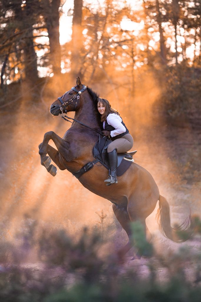 Reiterin auf aufgerichtetem Pferd in sonnendurchfluteter Waldlandschaft.