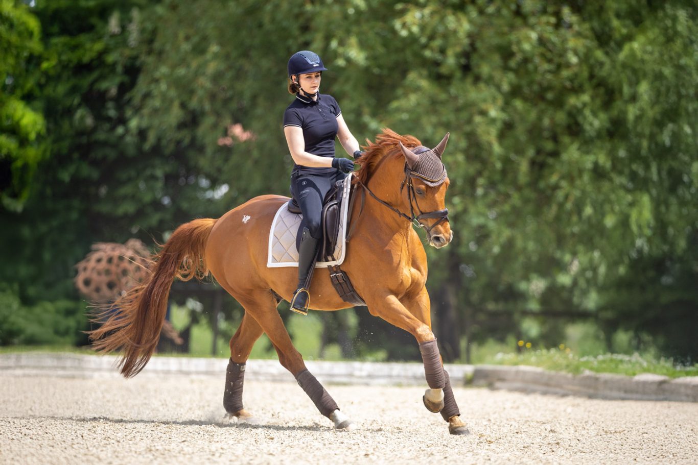 Reiterin in schwarzem Outfit reitet auf einem braunen Pferd in einer Außenarena.