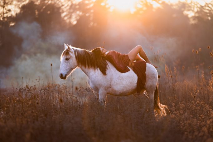 Eine Person liegt auf einem weißen Pferd in einer golden beleuchteten Landschaft.