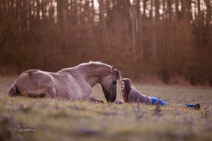 Eine Person liegt neben einem grauen Pferd auf einer Wiese, umgeben von Bäumen im Hintergrund.