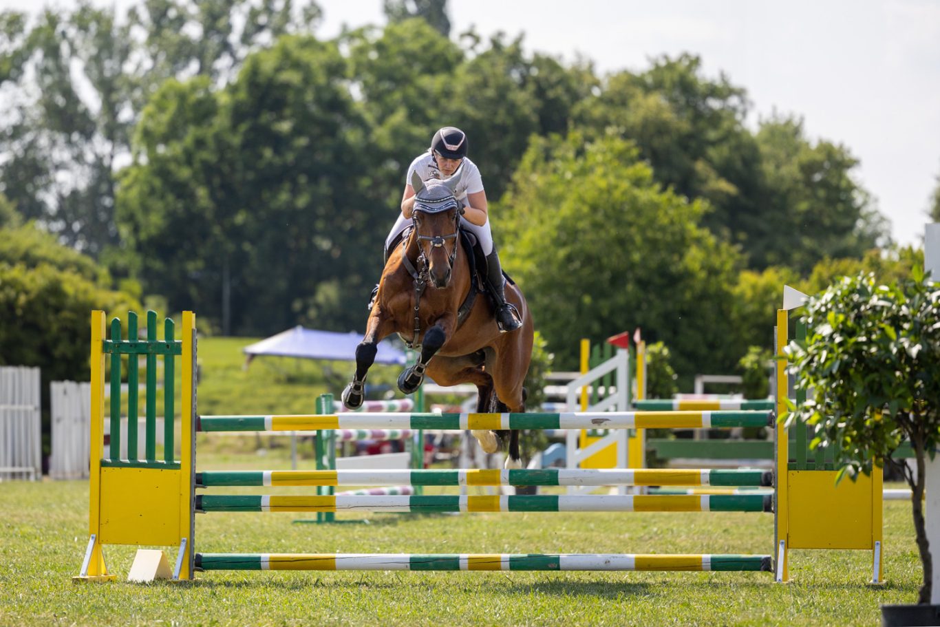 Reiterin springt mit ihrem Pferd über ein grünes Hindernis im Freien.