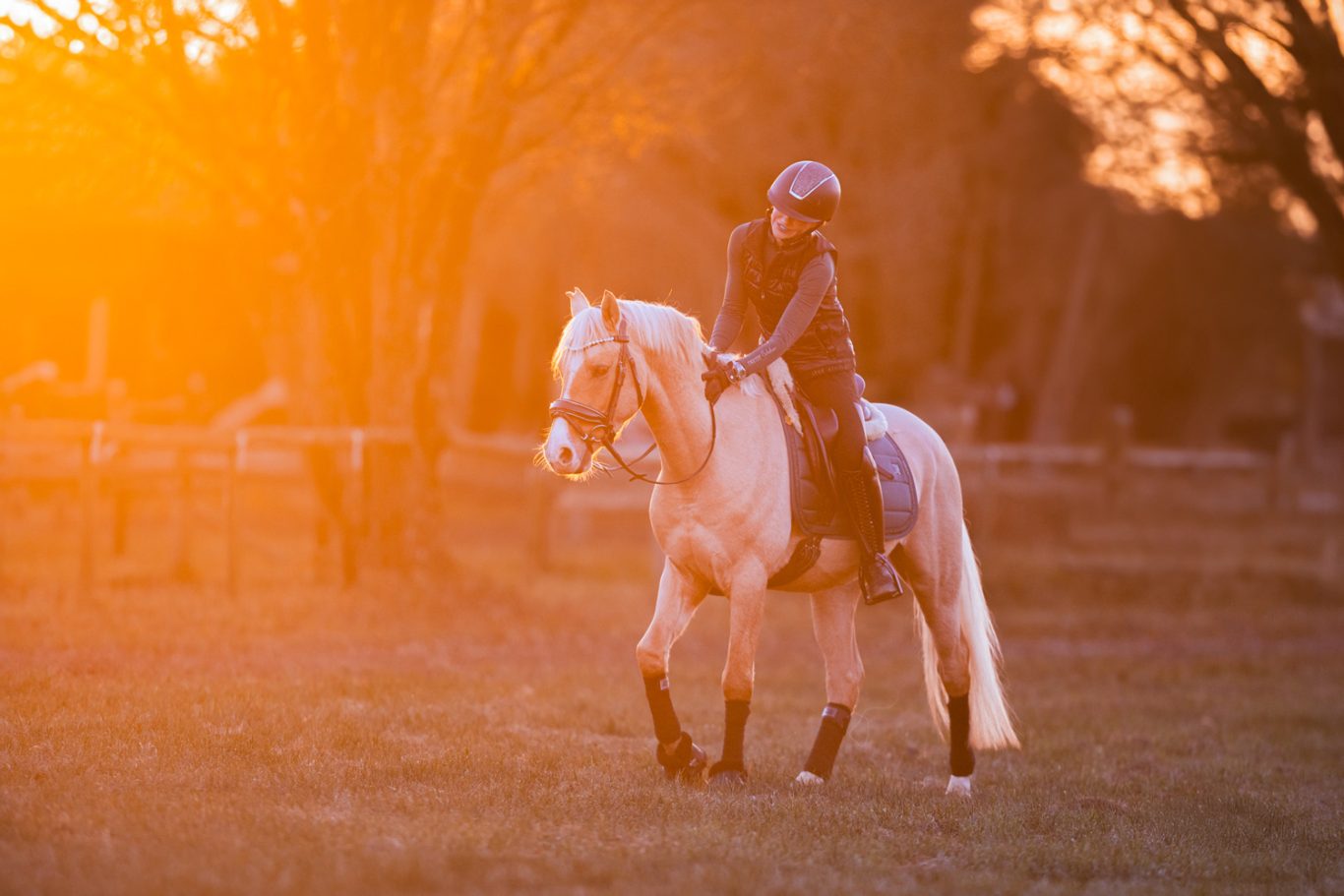 Reiter auf einem weißen Pferd vor einem orangefarbenen Sonnenuntergang.