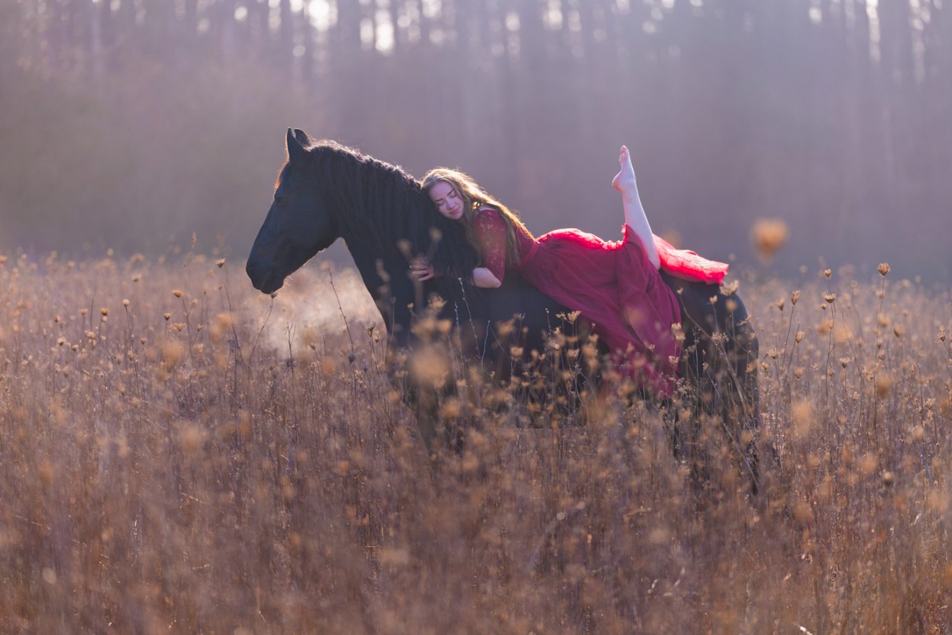 Reiterin in rotem Kleid auf schwarzem Pferd in einem eingeschneiten Feld.