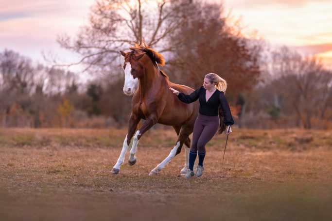 Eine Frau führt ein braunes Pferd in einer herbstlichen Landschaft.