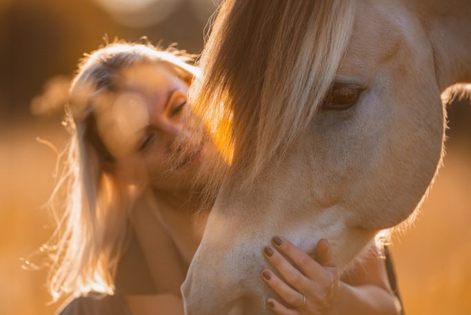 Frau streichelt ein weißes Pferd in einer sonnigen Wiese.